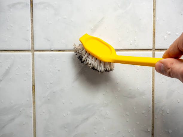 Best Mold Damage Repair  in Commerce, TX