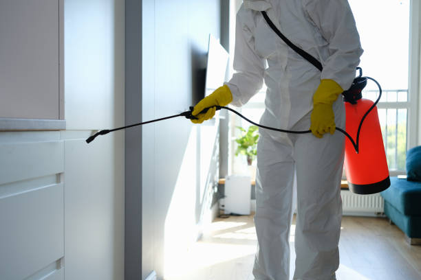 Best Mold Testing and Removal  in Commerce, TX