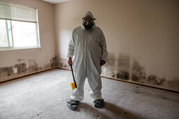 Best Mold Testing  in Commerce, TX